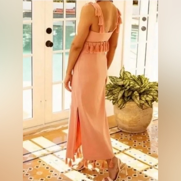 Antonio Melani 12, 14Pink Nat Note Cici Tassel Linen Maxi Dress Sleeveless NWT - Picture 6 of 16